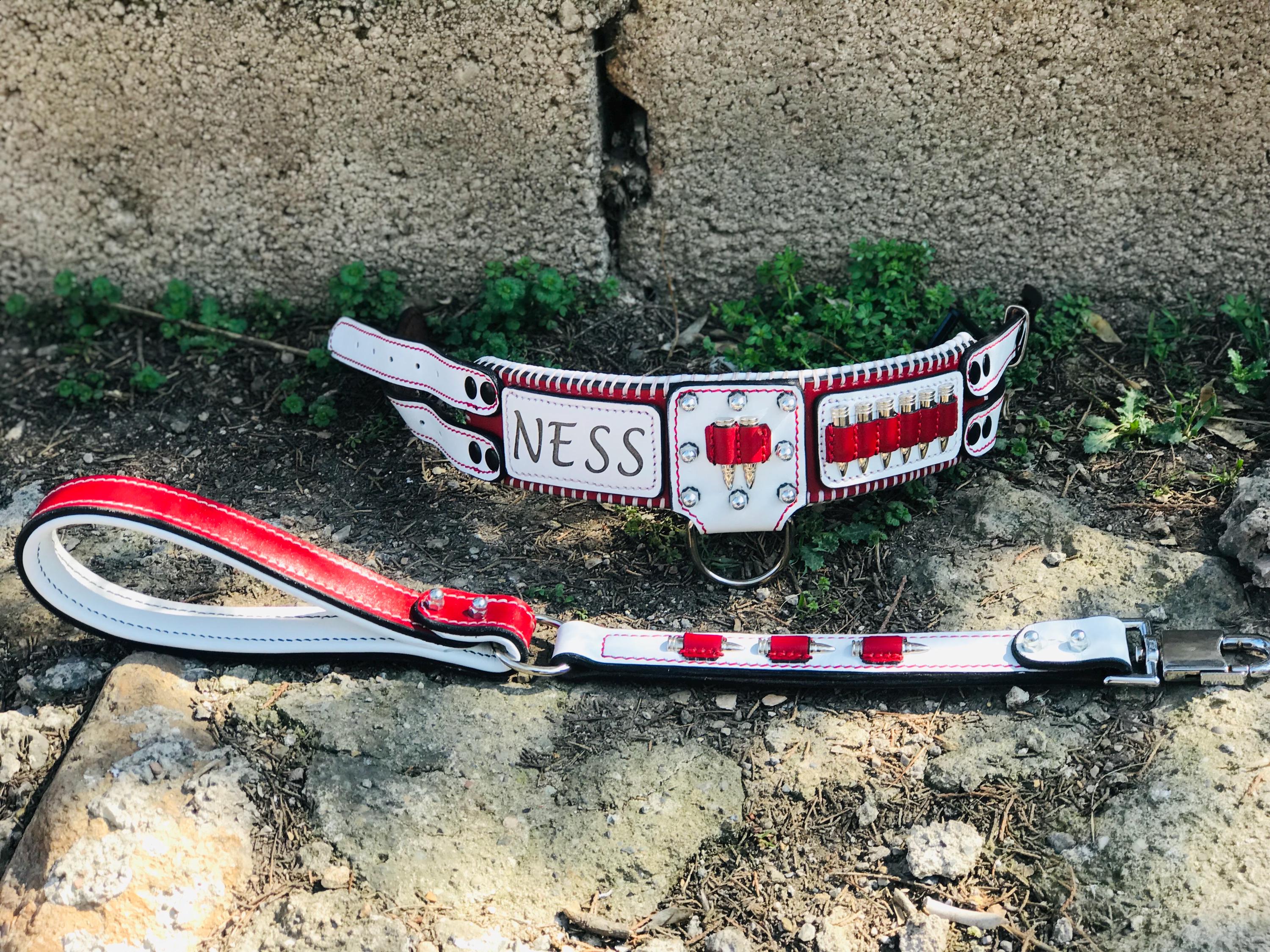 Handmade Buffalo Leather Dog Collar & Leash Set with Bullet Design – Personalized