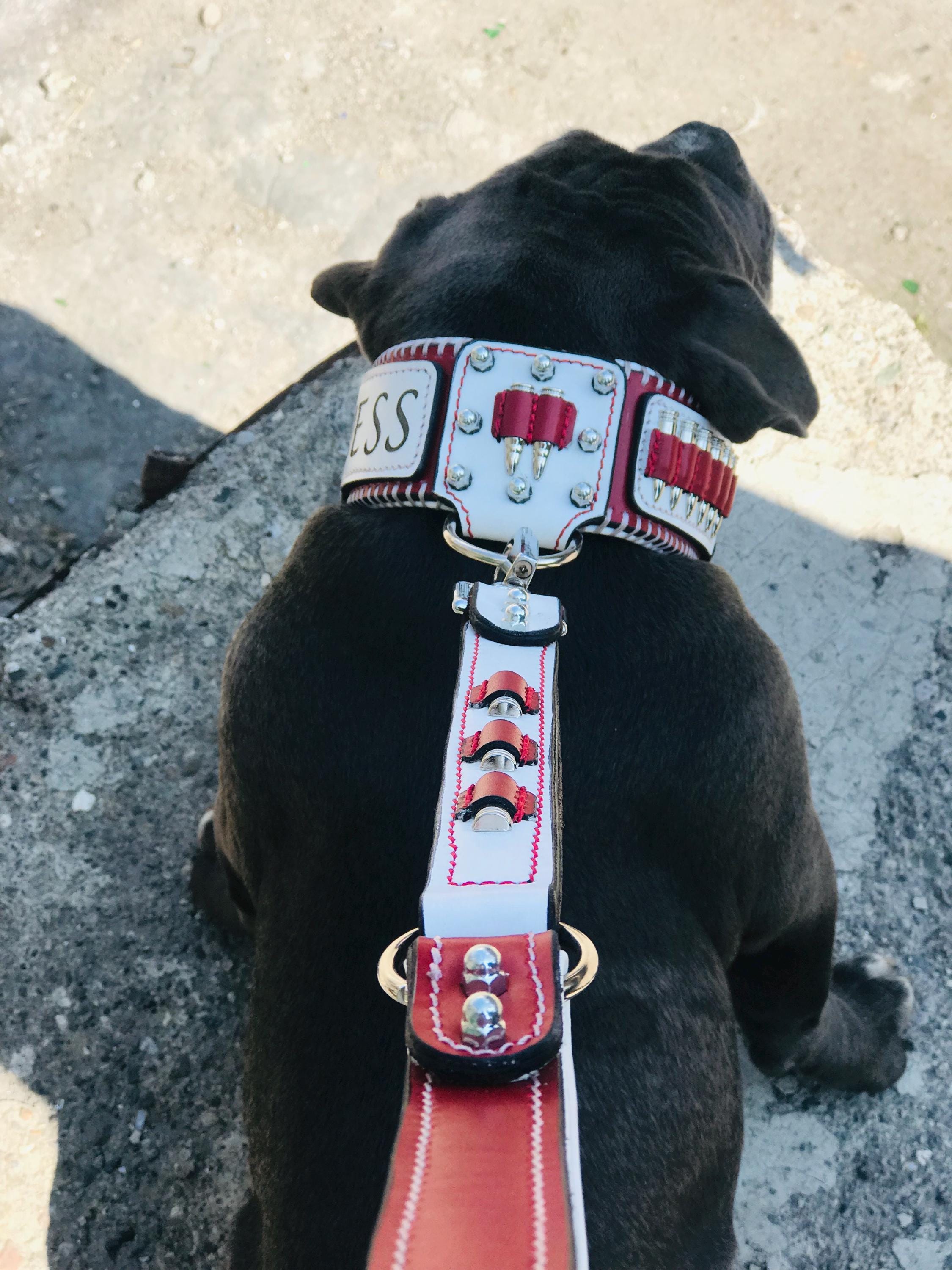 Handmade Buffalo Leather Dog Collar & Leash Set with Bullet Design – Personalized