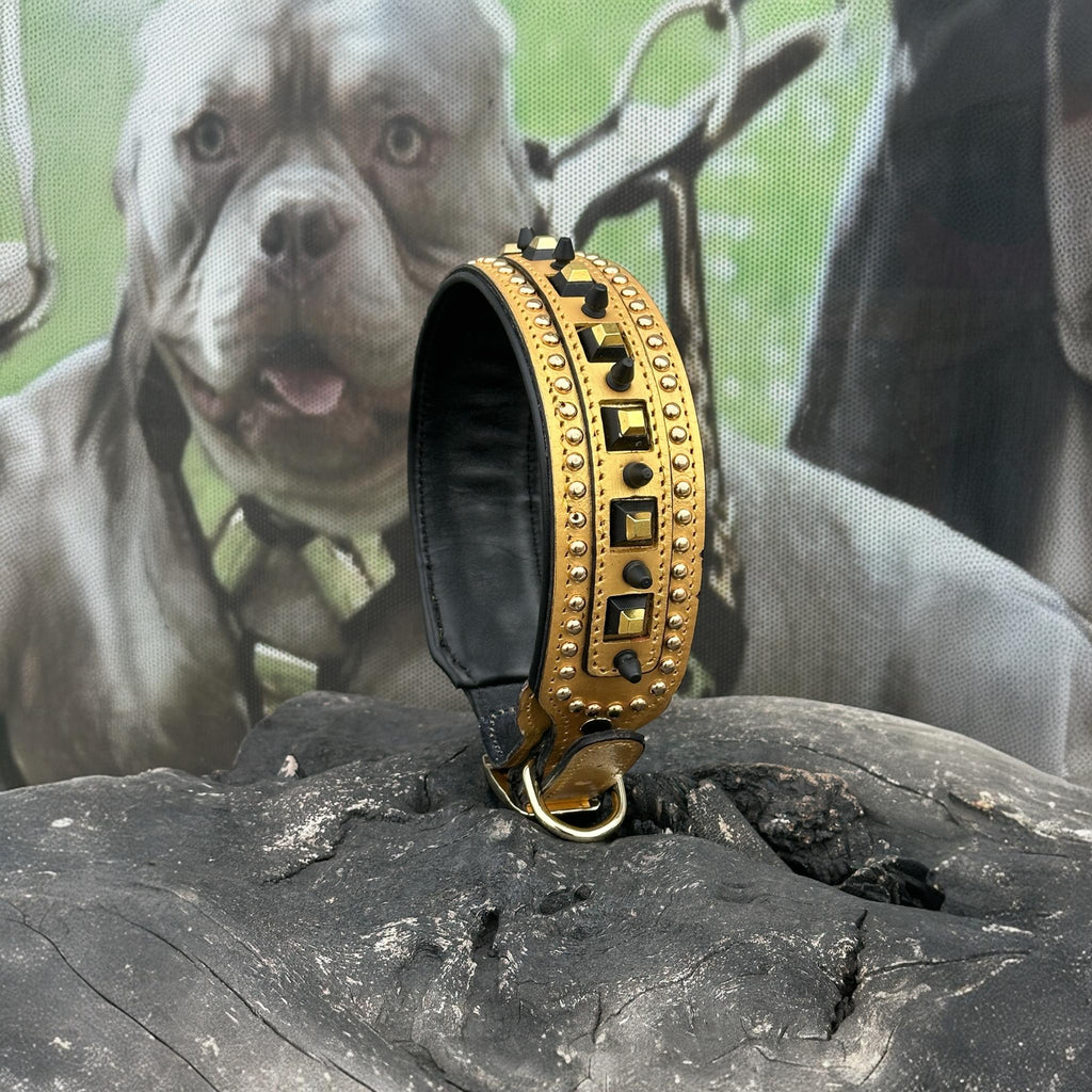 Gold Studded Buffalo Leather Dog Collar – Handmade Strong Collar