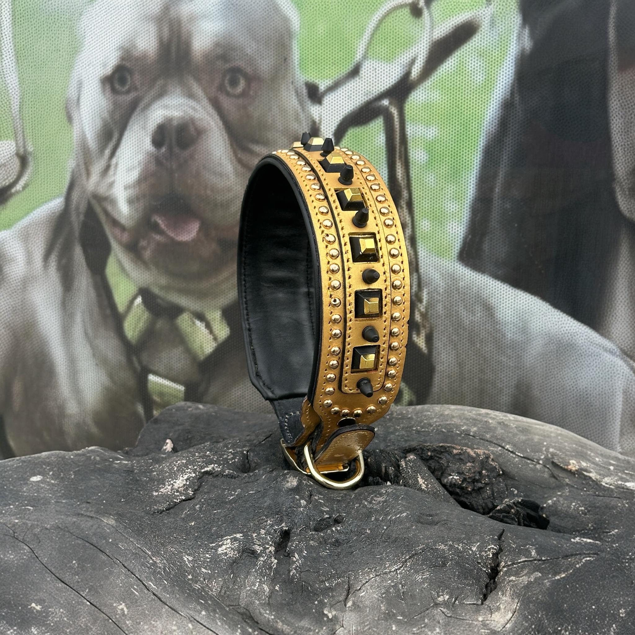 Gold Studded Buffalo Leather Dog Collar – Handmade Strong Collar