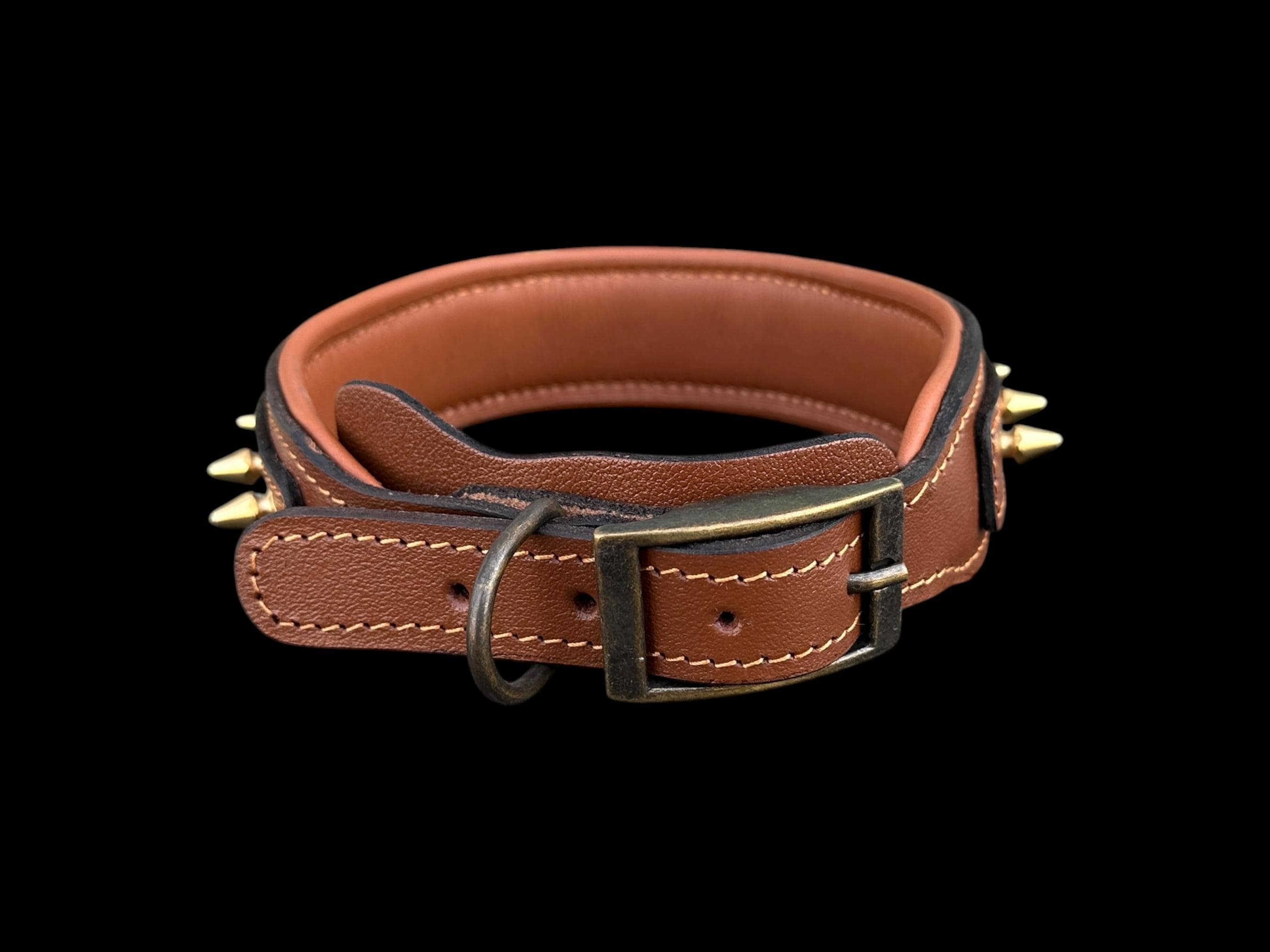 Brown Leather Dog Collar with Gold Spikes – 4cm Handmade Strong Breed Design