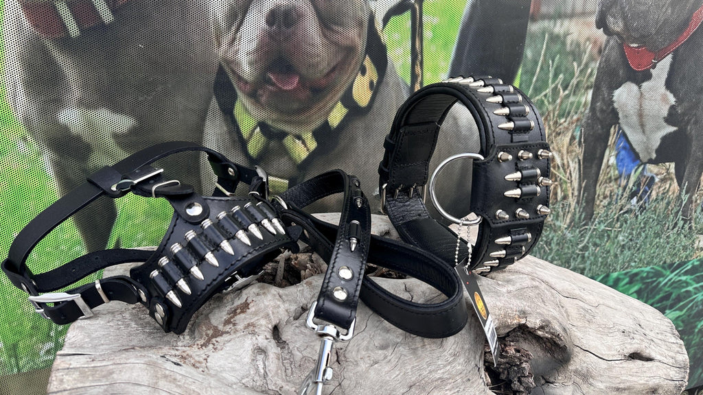 Bullet Spike 3-Piece Dog Set – Collar + Muzzle + Leash | Handmade Leather