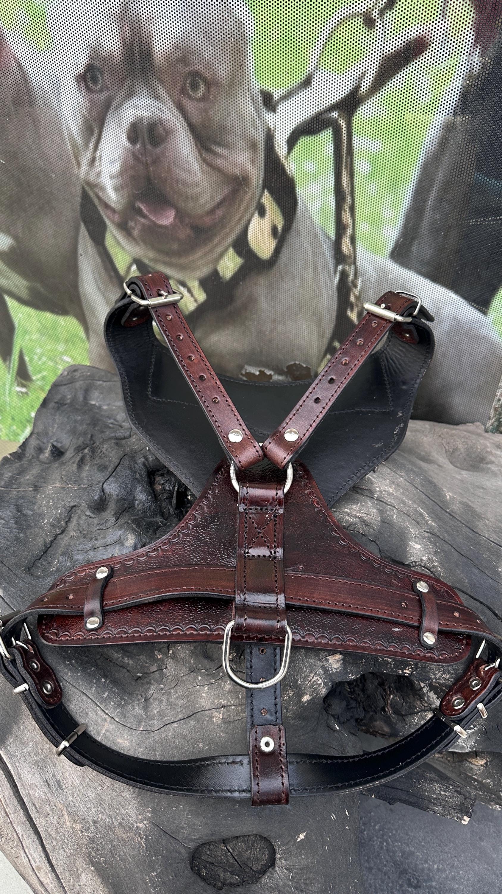 Punisher Emblem Leather Dog Harness – Handmade Warrior Chest Plate