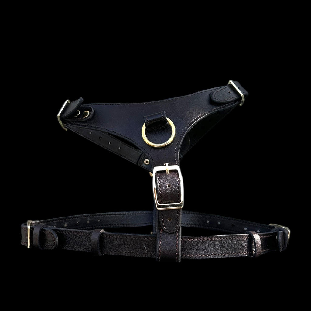 Black Buffalo Leather Dog Harness with Gold Hardware – Handmade