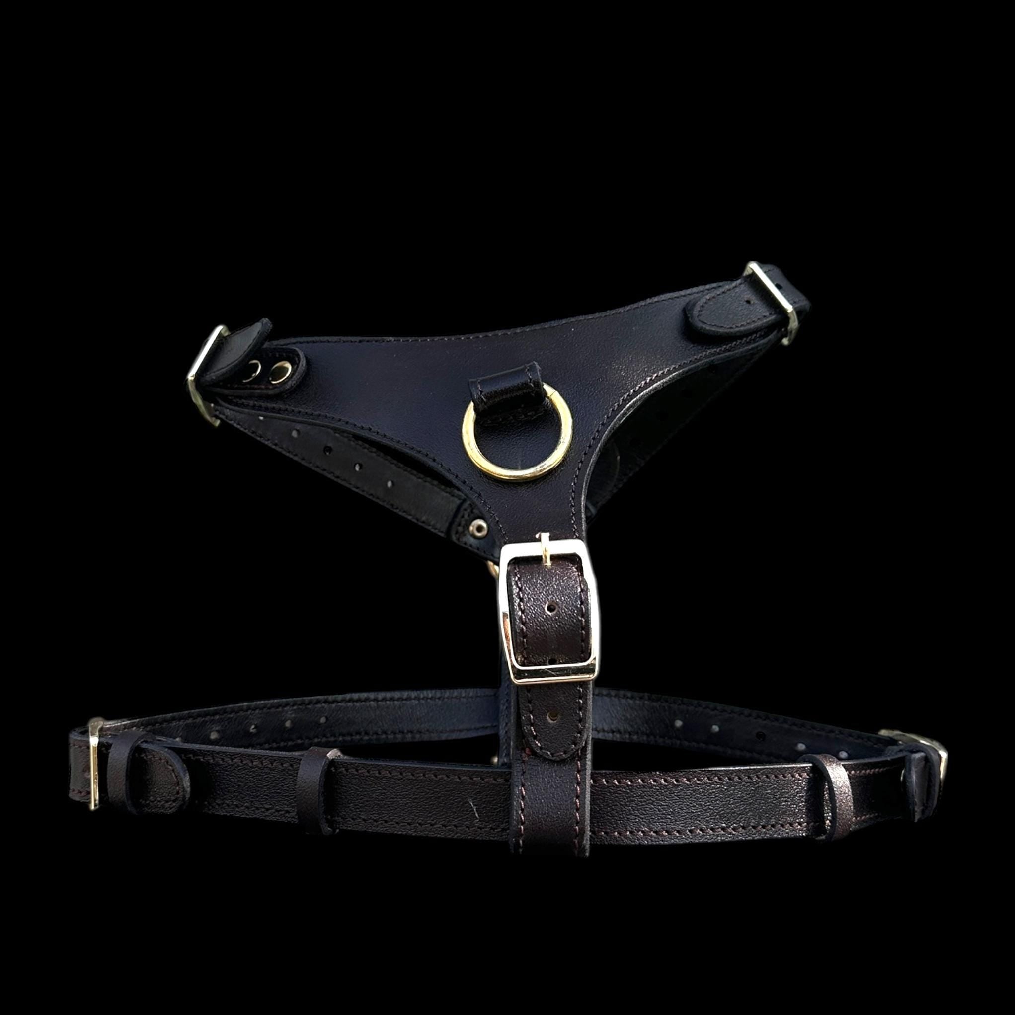 Black Buffalo Leather Dog Harness with Gold Hardware – Handmade