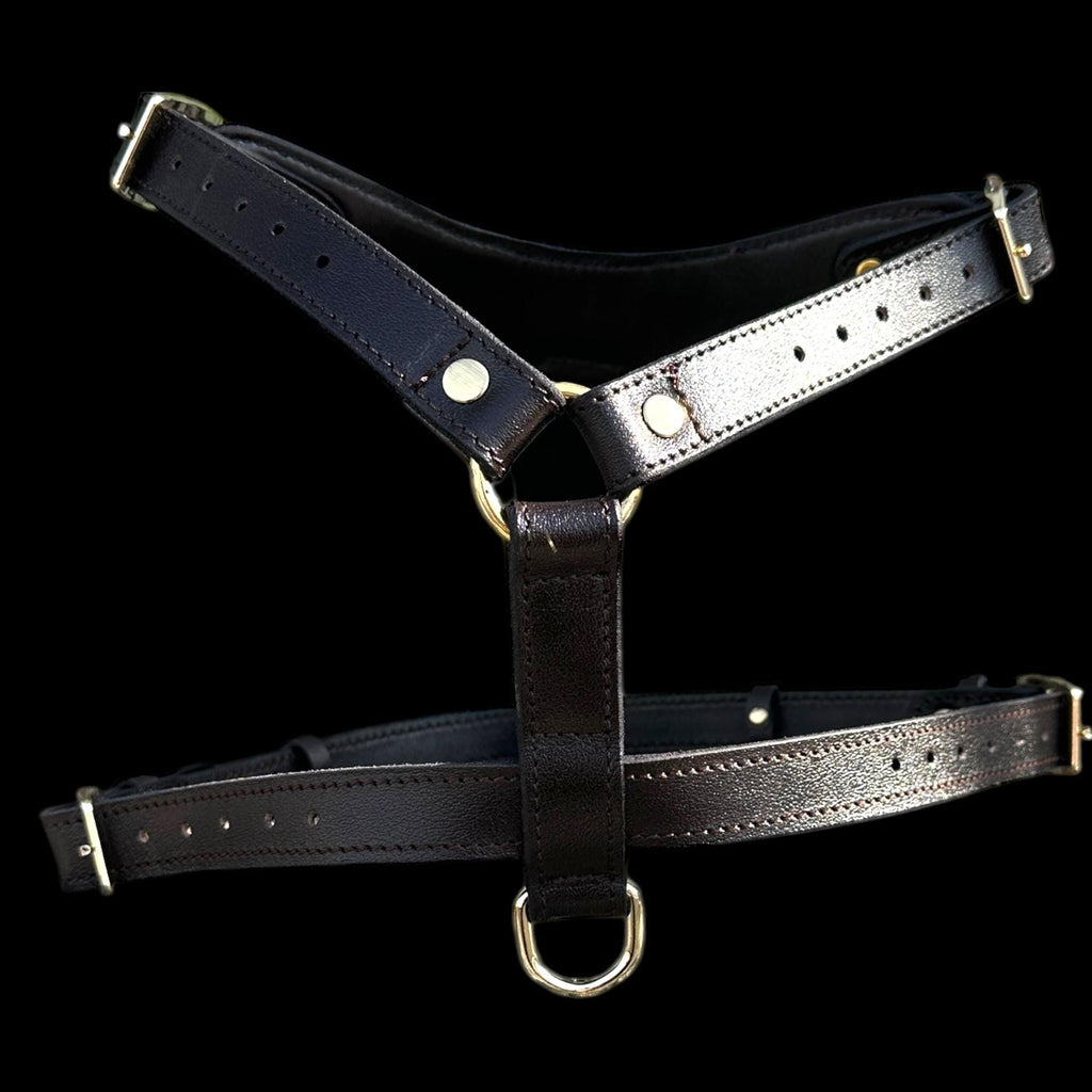 Black Buffalo Leather Dog Harness with Gold Hardware – Handmade
