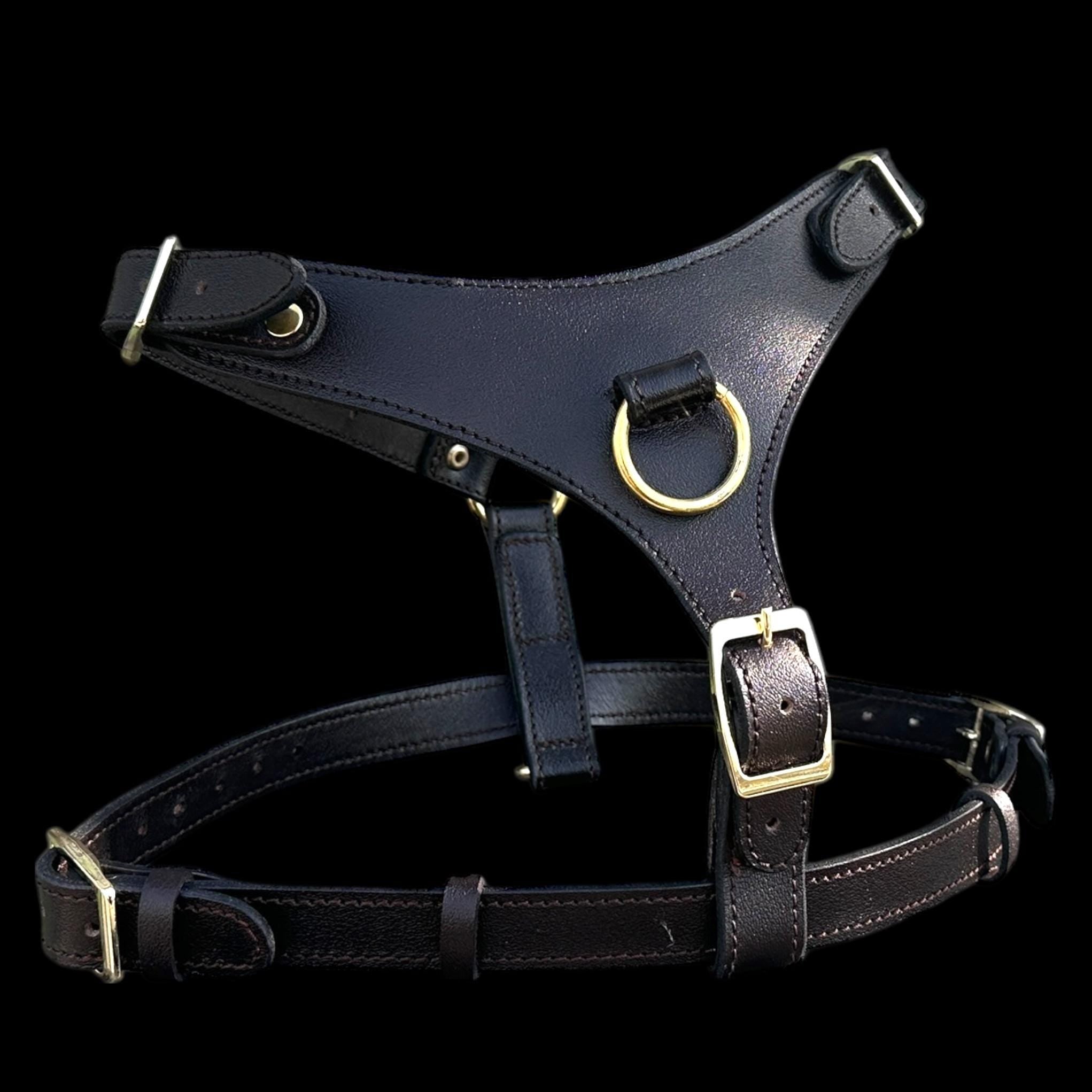 Black Buffalo Leather Dog Harness with Gold Hardware – Handmade