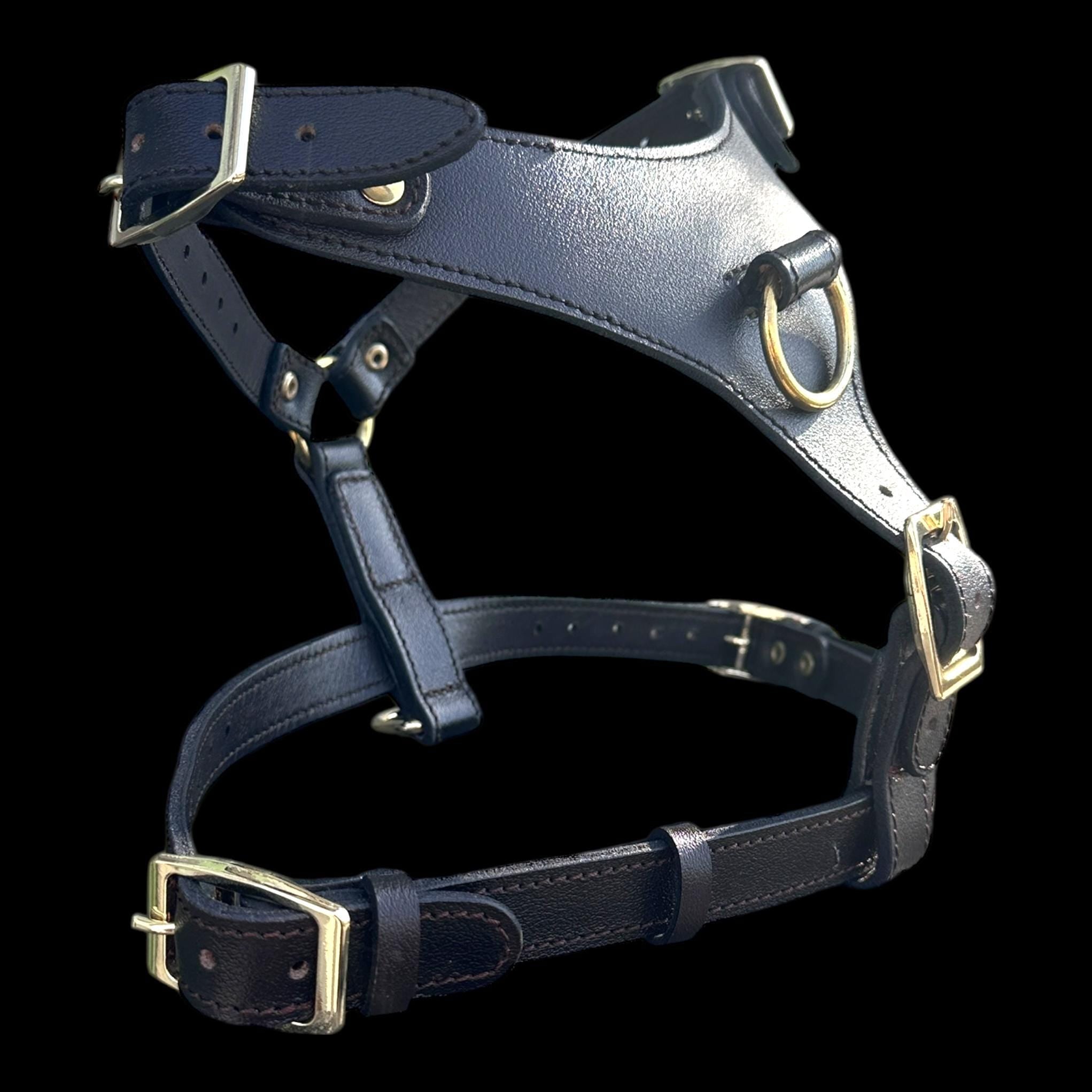 Black Buffalo Leather Dog Harness with Gold Hardware – Handmade