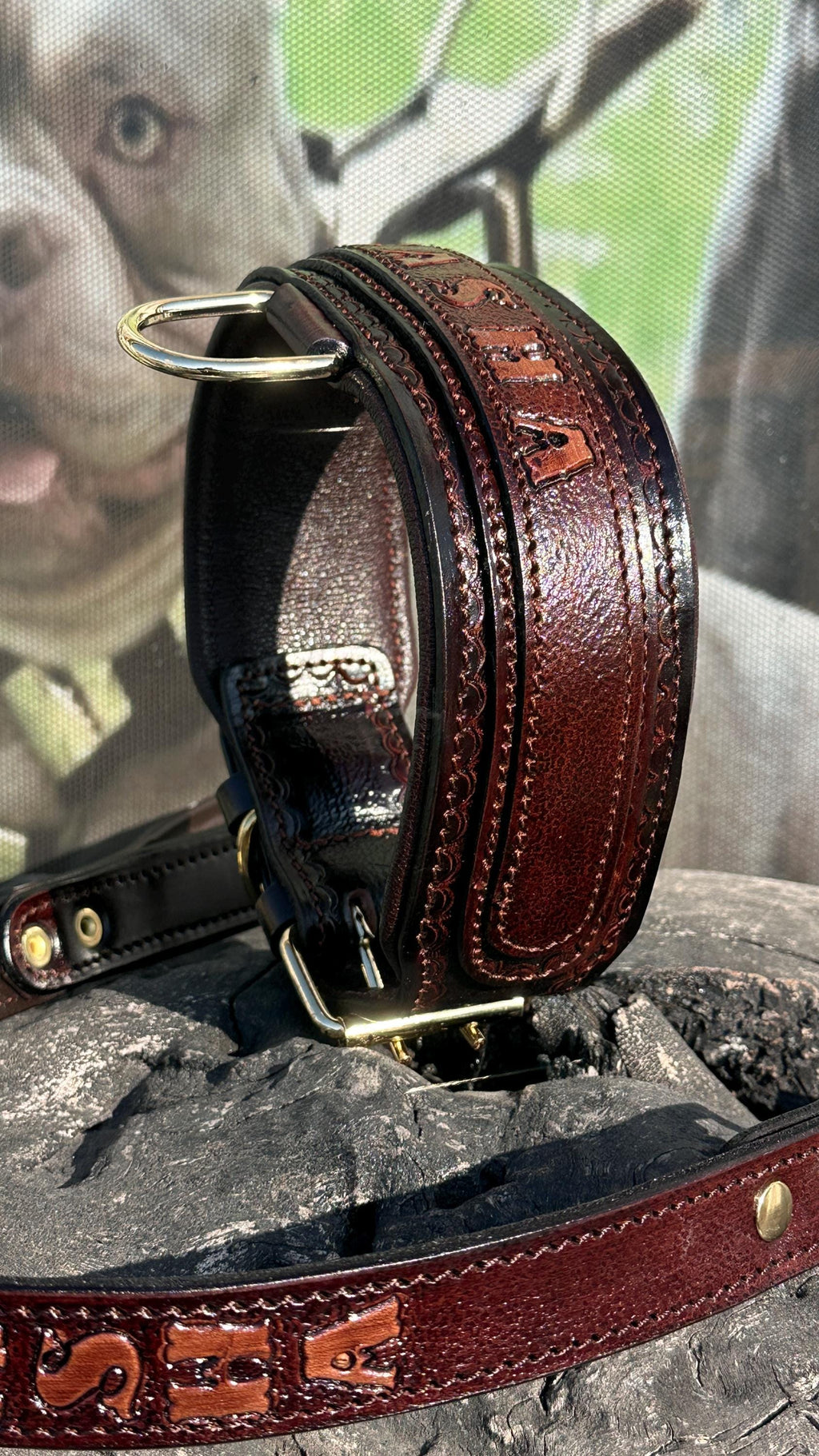 Handcrafted Leather Dog Collar & Leash Set – Custom Engraved Buffalo Leather