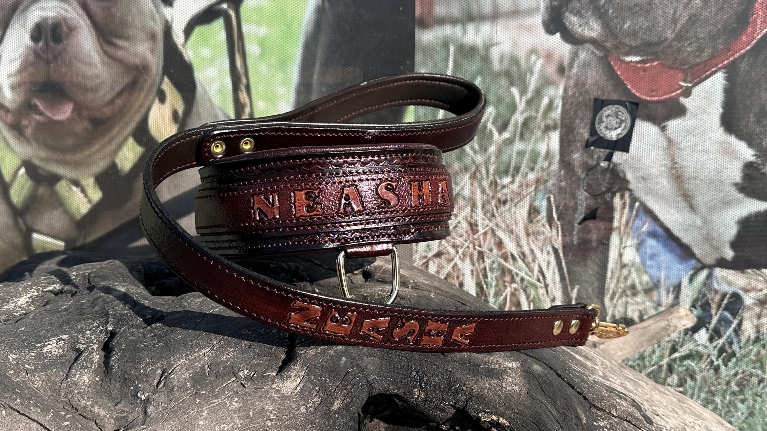 Handcrafted Leather Dog Collar & Leash Set – Custom Engraved Buffalo Leather