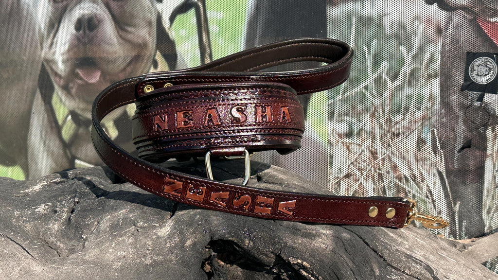 Handcrafted Leather Dog Collar & Leash Set – Custom Engraved Buffalo Leather