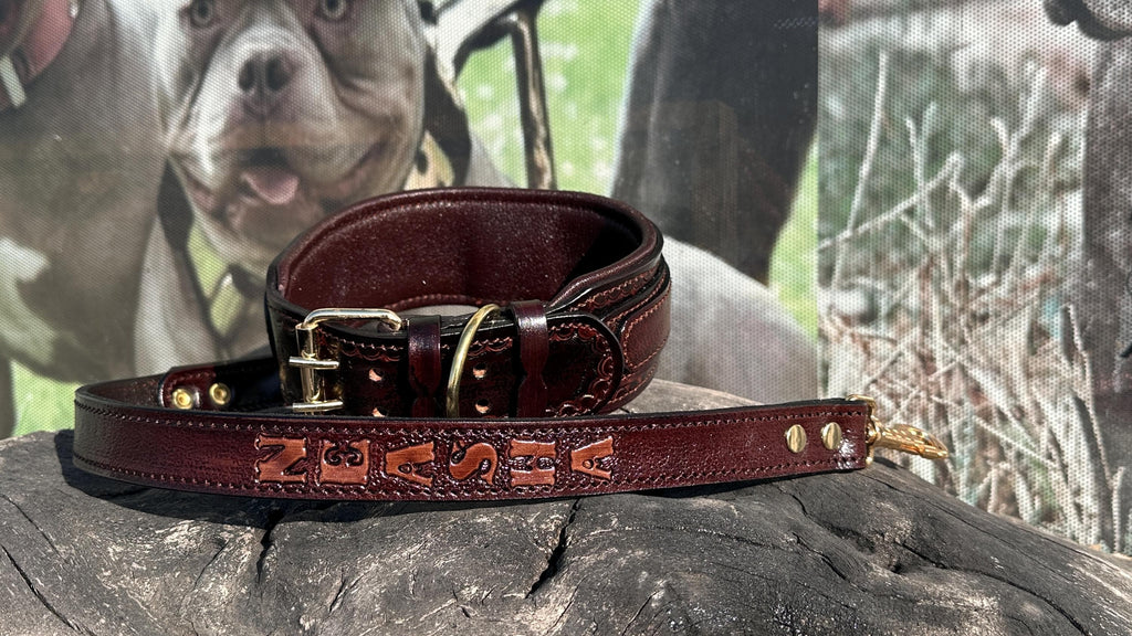 Handcrafted Leather Dog Collar & Leash Set – Custom Engraved Buffalo Leather