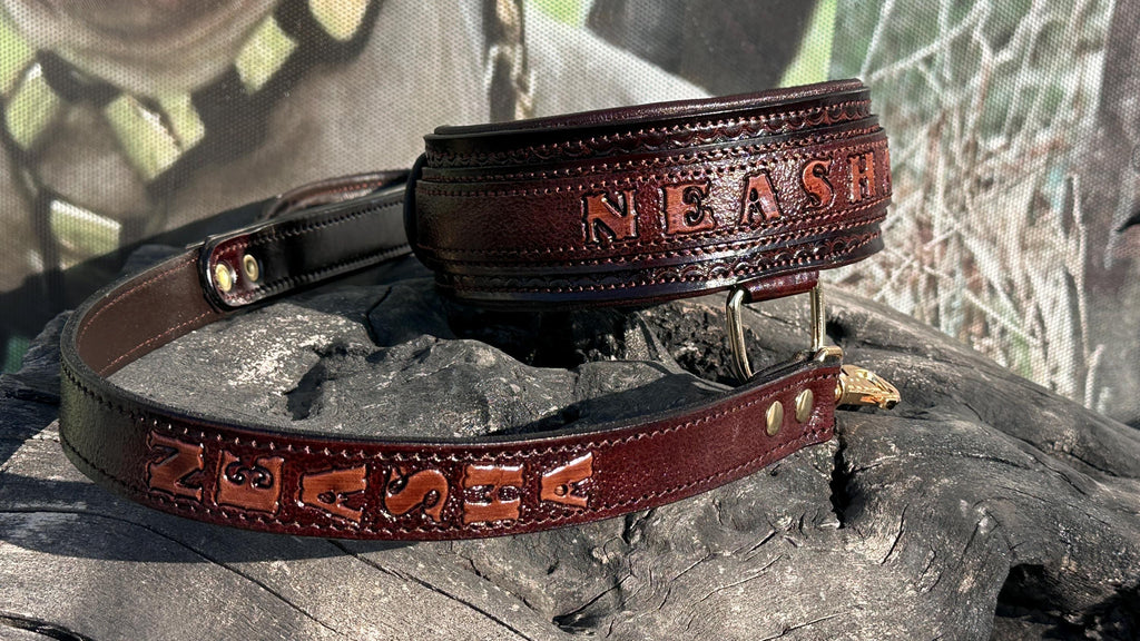Handcrafted Leather Dog Collar & Leash Set – Custom Engraved Buffalo Leather