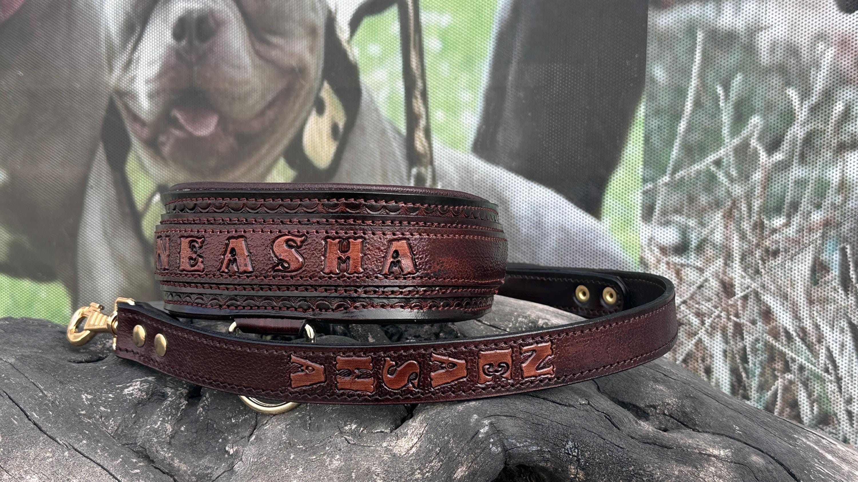 Handcrafted Leather Dog Collar & Leash Set – Custom Engraved Buffalo Leather