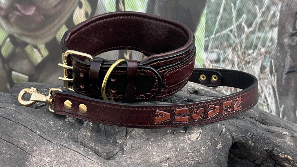 Handcrafted Leather Dog Collar & Leash Set – Custom Engraved Buffalo Leather