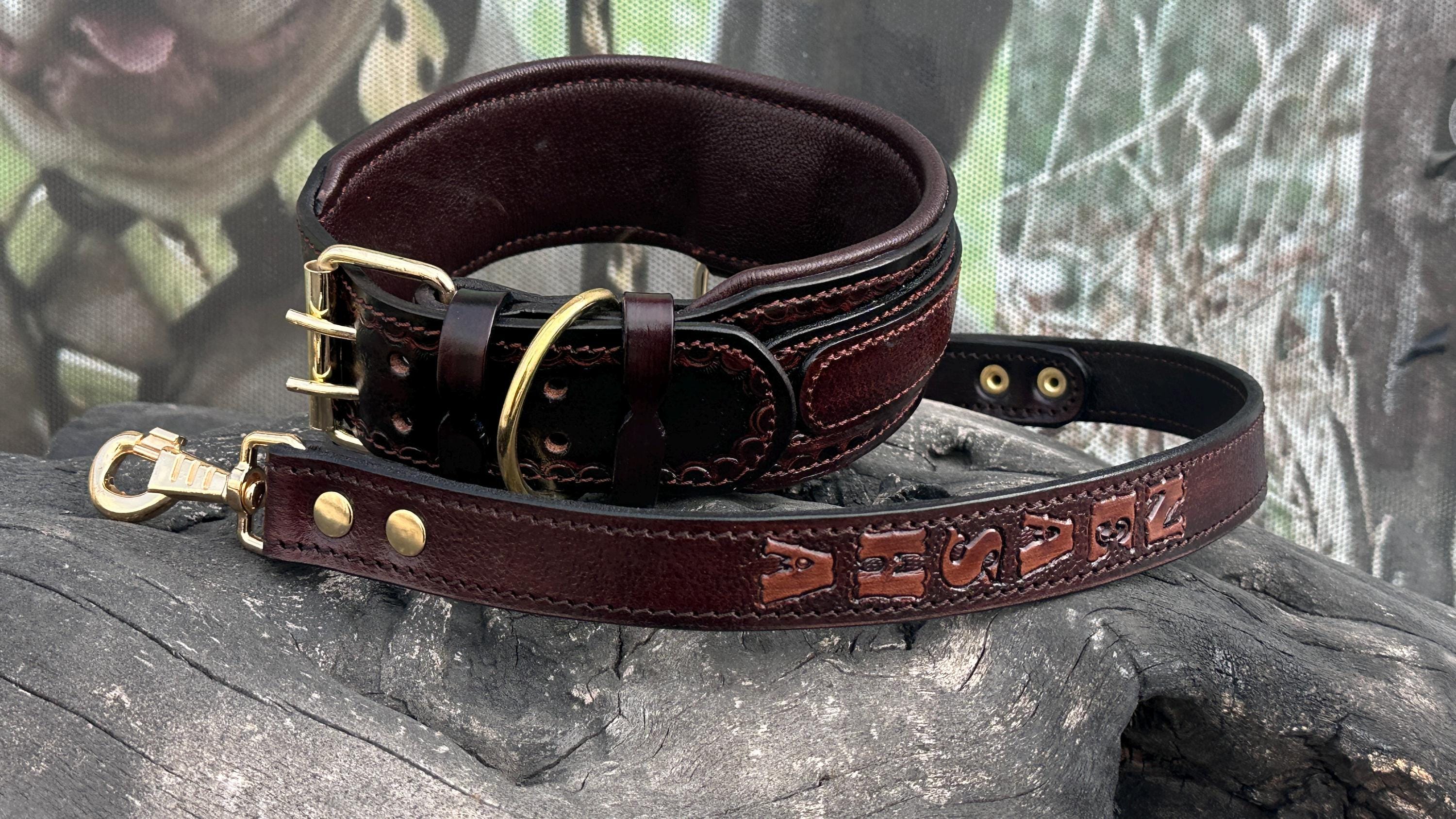 Handcrafted Leather Dog Collar & Leash Set – Custom Engraved Buffalo Leather