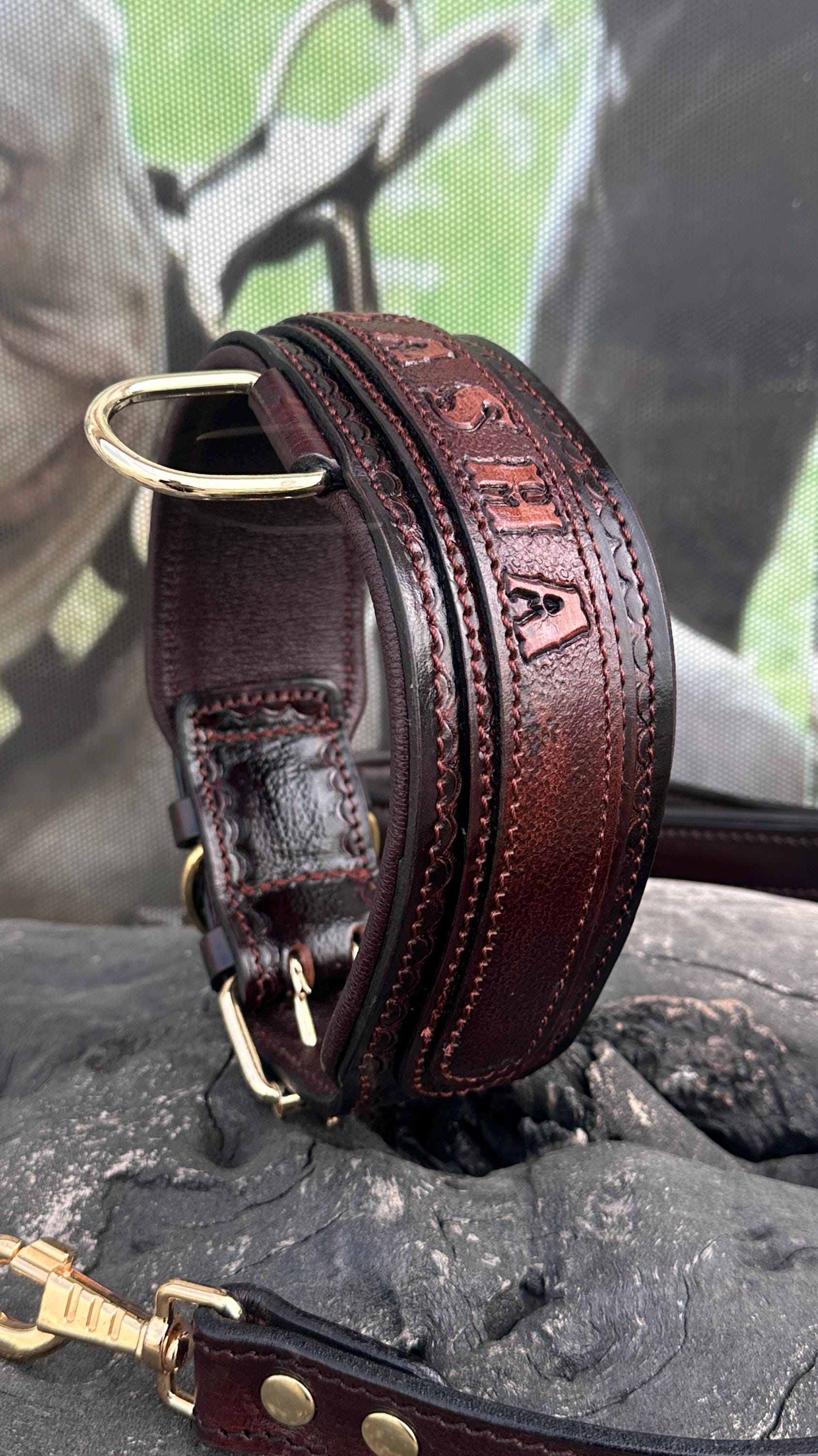 Handcrafted Leather Dog Collar & Leash Set – Custom Engraved Buffalo Leather