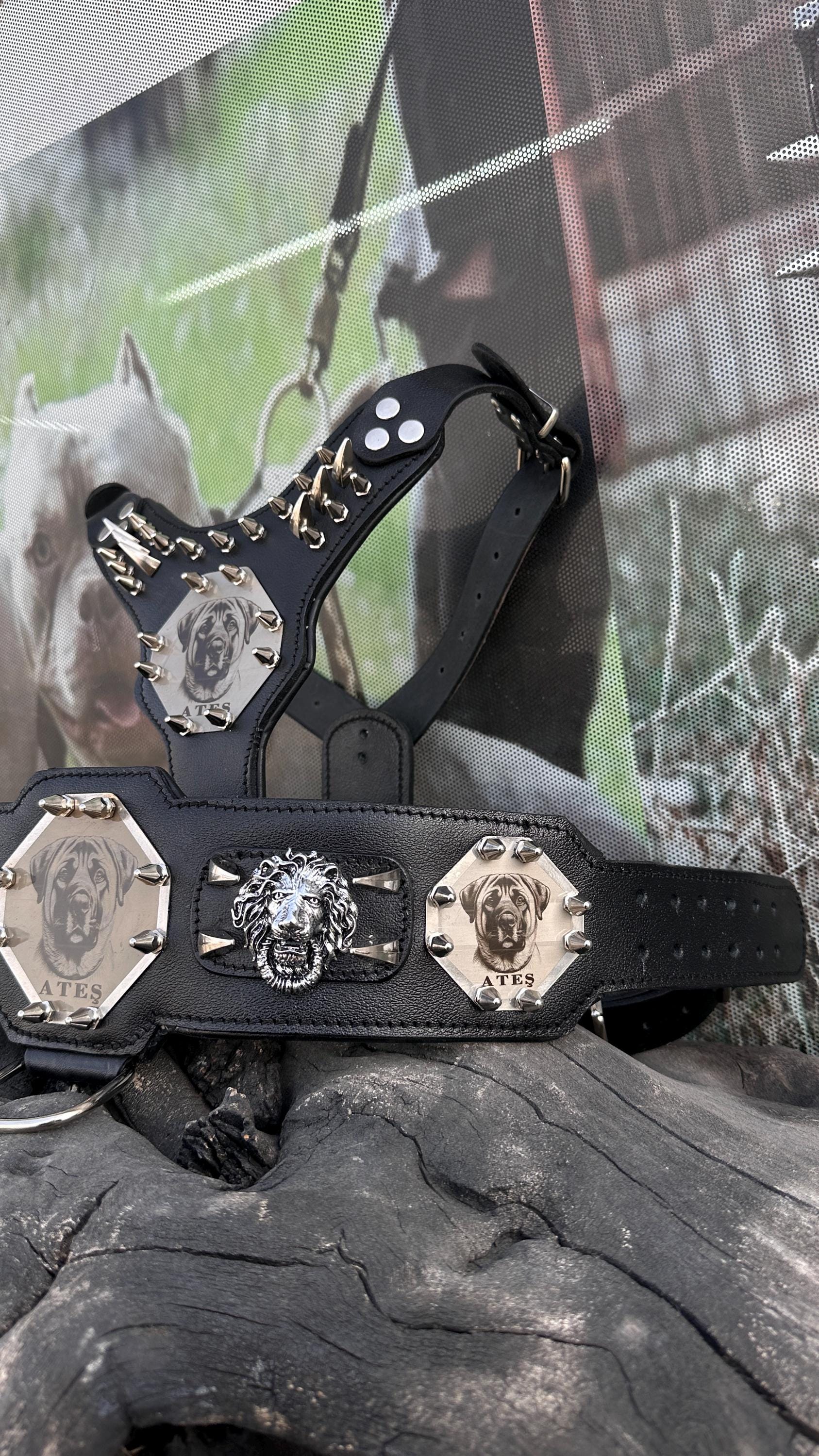 Custom Kangal Dog Collar, Harness & Leash Set – Handmade Leather Spike Set