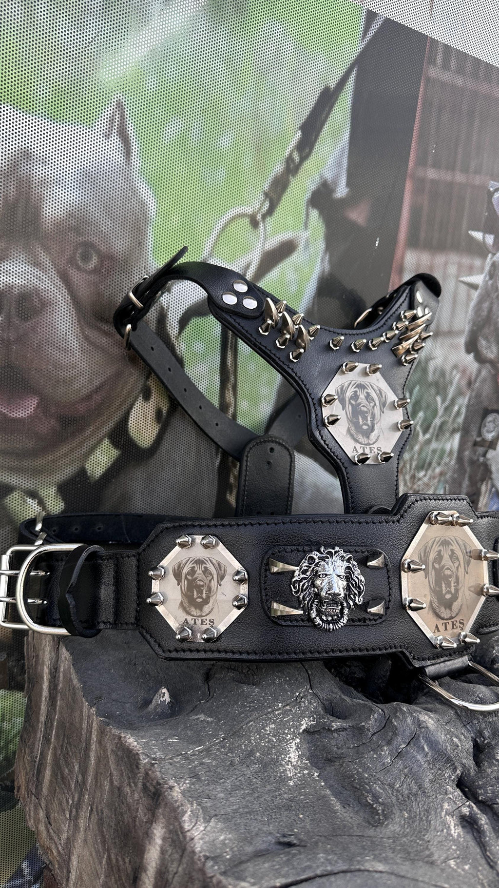 Custom Kangal Dog Collar, Harness & Leash Set – Handmade Leather Spike Set
