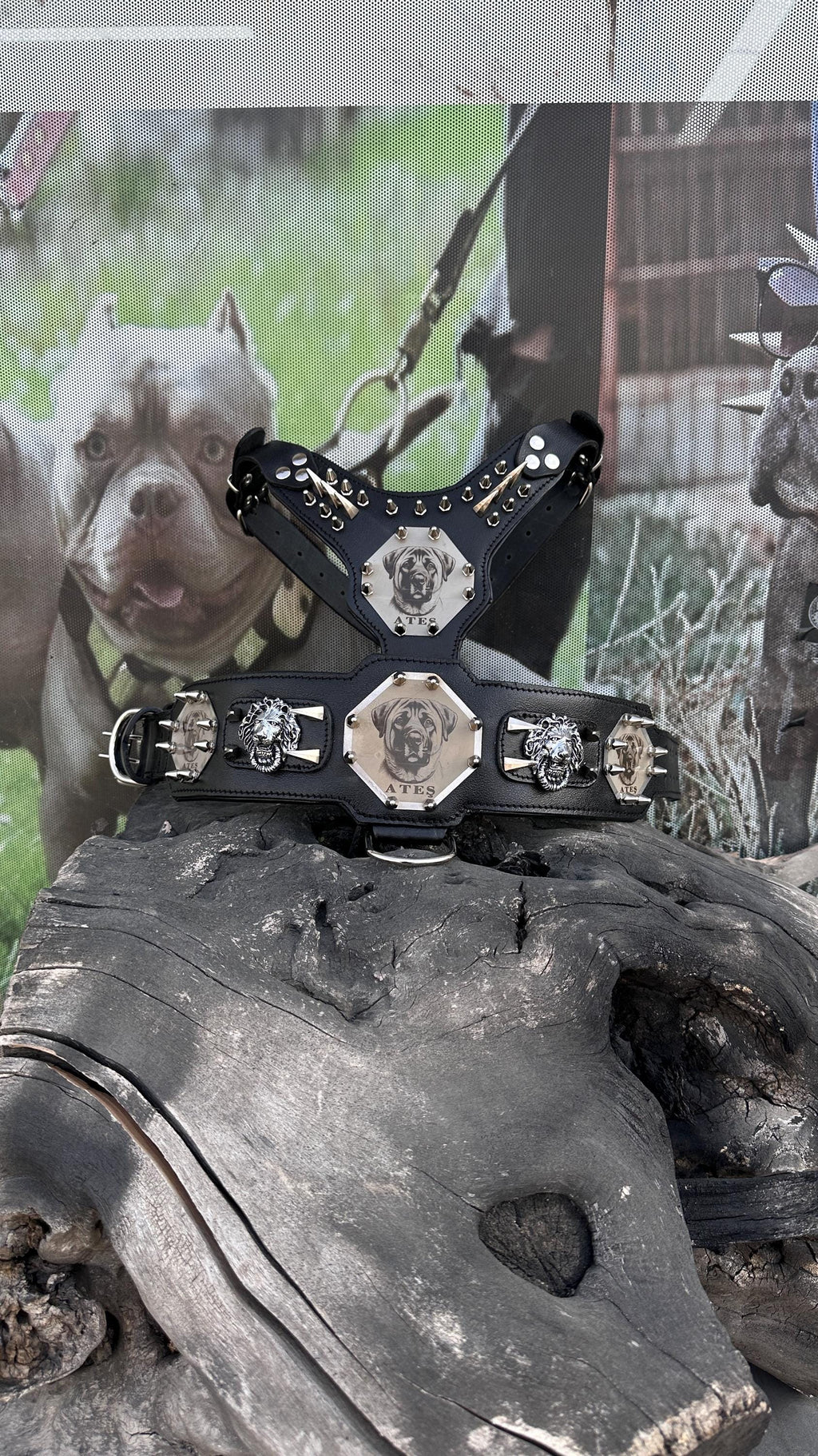 Custom Kangal Dog Collar, Harness & Leash Set – Handmade Leather Spike Set