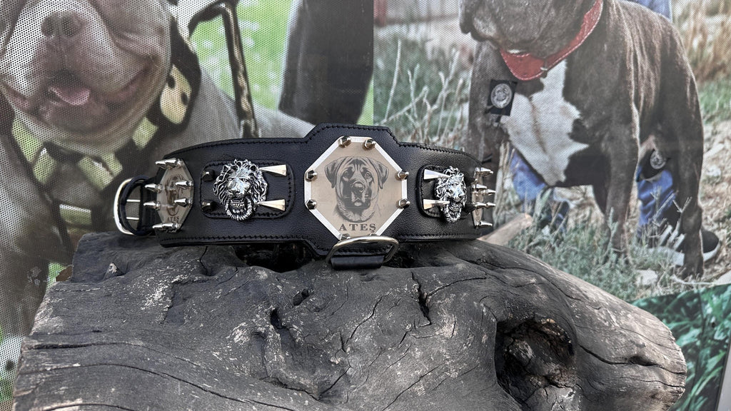 Custom Kangal Dog Collar, Harness & Leash Set – Handmade Leather Spike Set