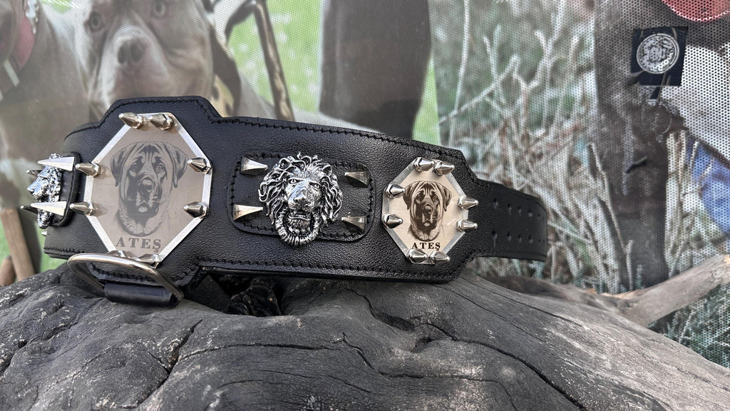 Custom Kangal Dog Collar, Harness & Leash Set – Handmade Leather Spike Set