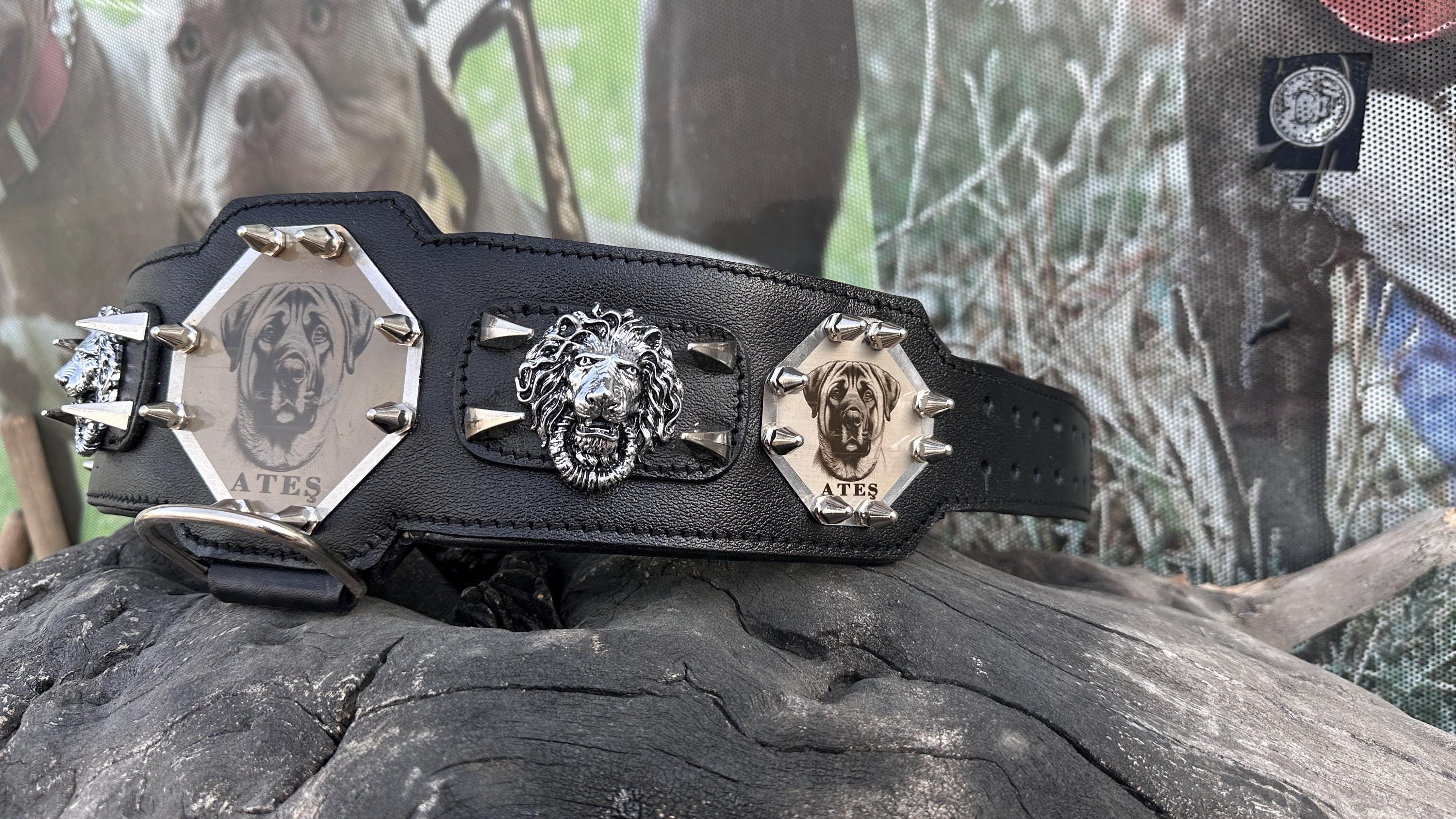 Custom Kangal Dog Collar, Harness & Leash Set – Handmade Leather Spike Set