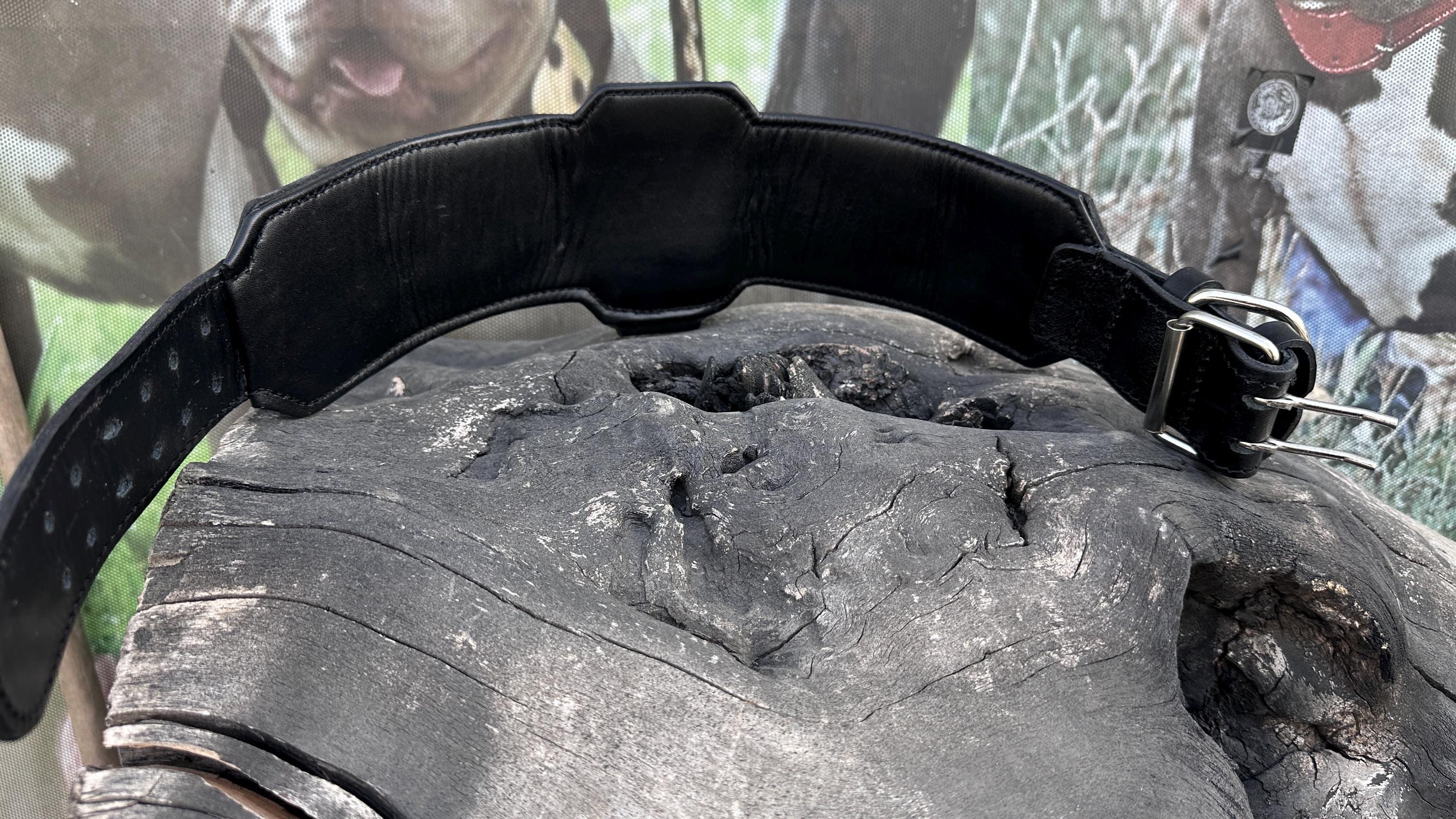 Custom Kangal Dog Collar, Harness & Leash Set – Handmade Leather Spike Set