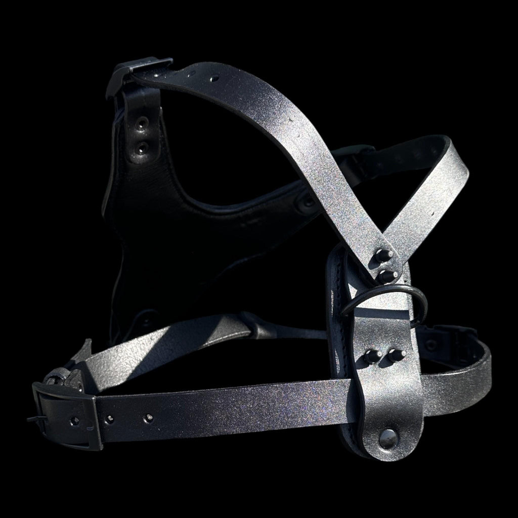 Black Spiked Leather Dog Harness Collar Leash Set | Heavy Duty, Bully Breed