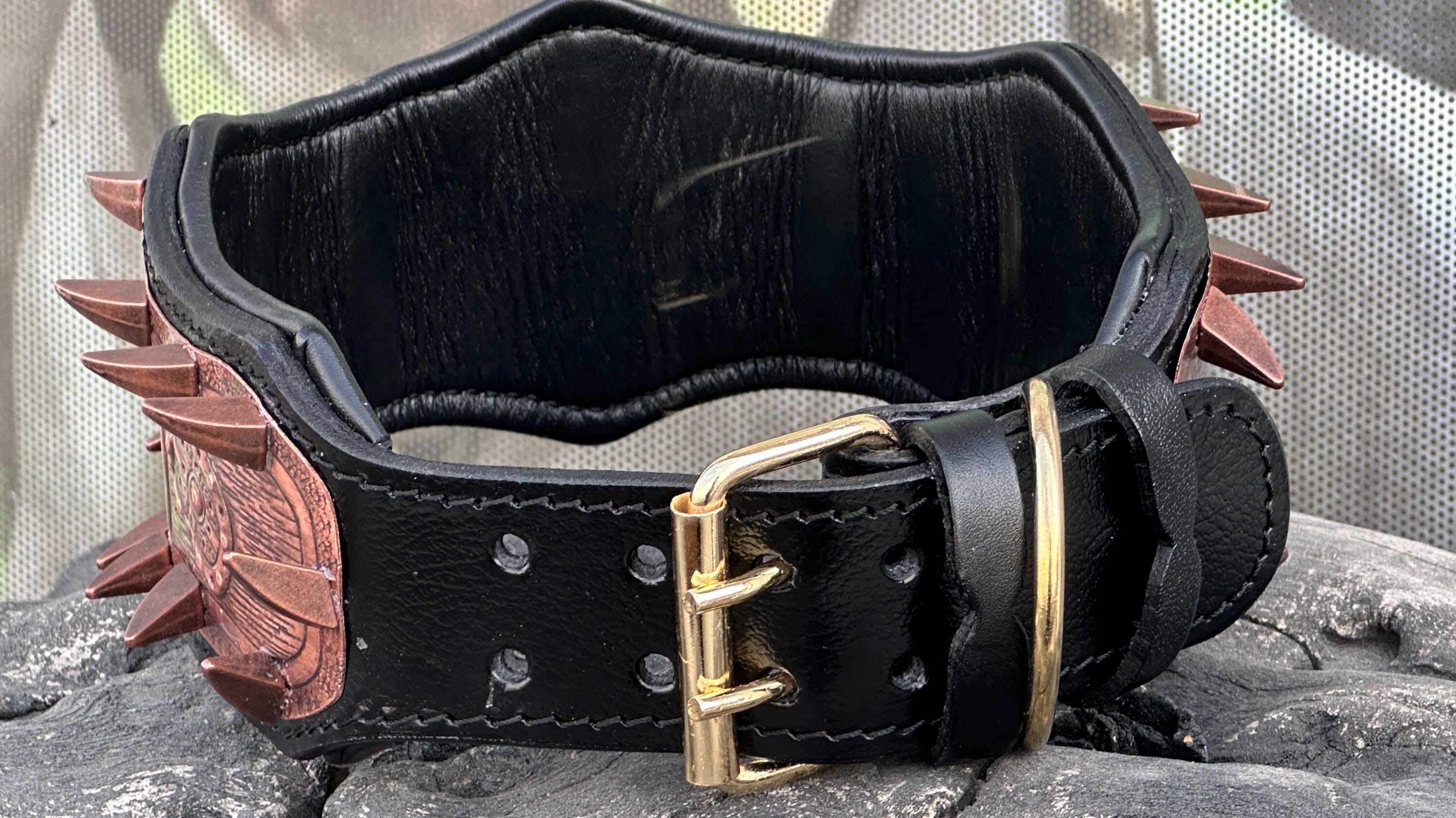 Gladiator Copper Spiked Dog Collar – Handcrafted Buffalo Leather