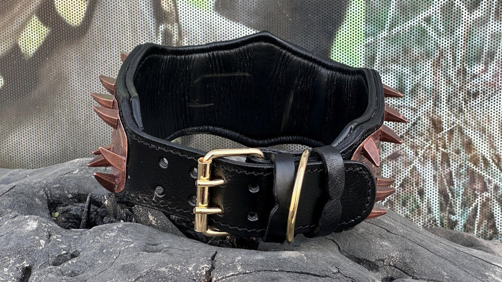 Gladiator Copper Spiked Dog Collar – Handcrafted Buffalo Leather