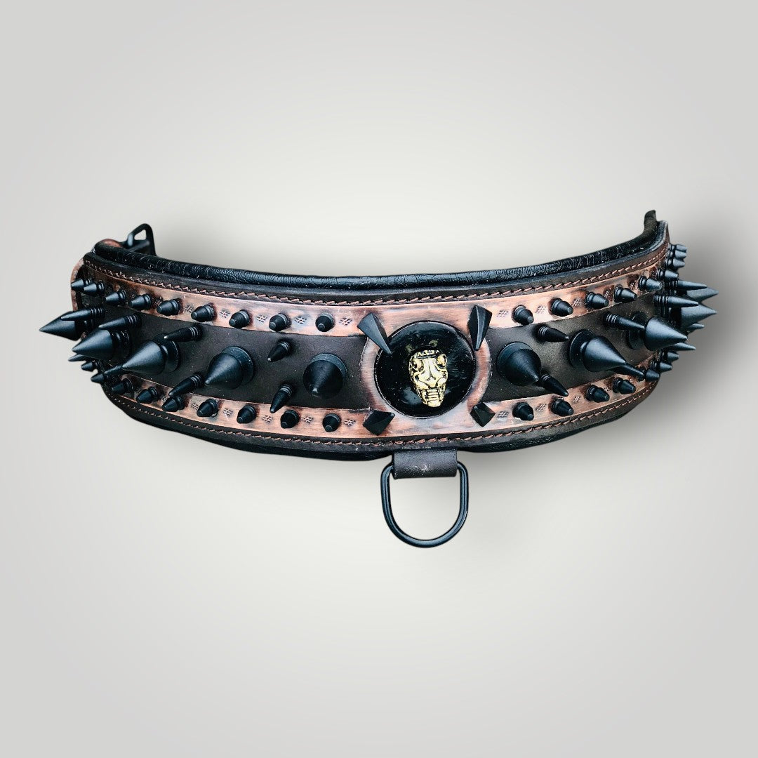 A black leather dog collar with metal spike accents, styled for a bold, edgy look by A&C Dog Collars on a neutral background.