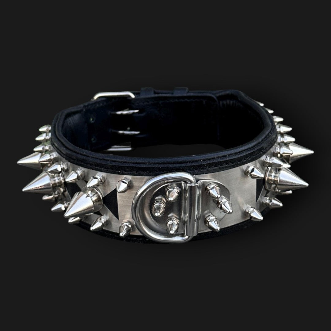 Handmade spiked leather dog collar with custom engraved name plate from A&C Dog Collars, featuring metal spikes and sturdy leather strap.