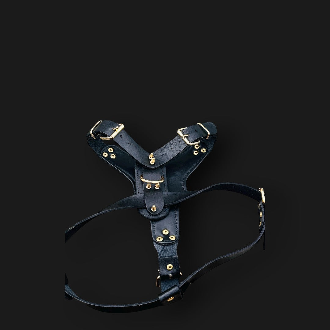 Handmade buffalo leather dog harness with Punisher copper plate and gold rivets, featuring durable A&C Dog Collars branding.