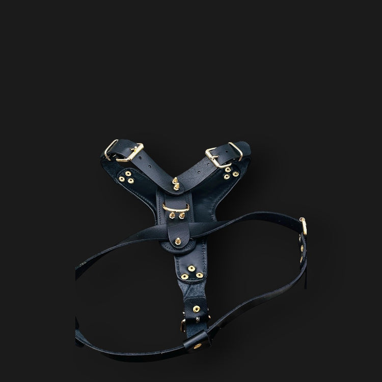 Handmade buffalo leather dog harness with Punisher copper plate and gold rivets, featuring durable A&C Dog Collars branding.