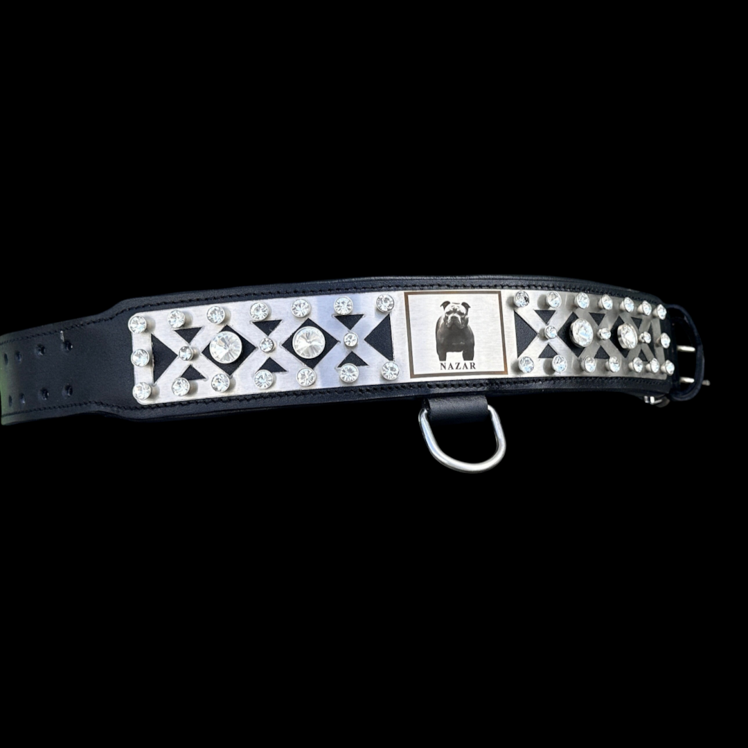 A&C Dog Collars siyah manda derisi, kristal taşlı ve lazer kazımalı özel fotoğraflı büyük ırk köpek tasması.