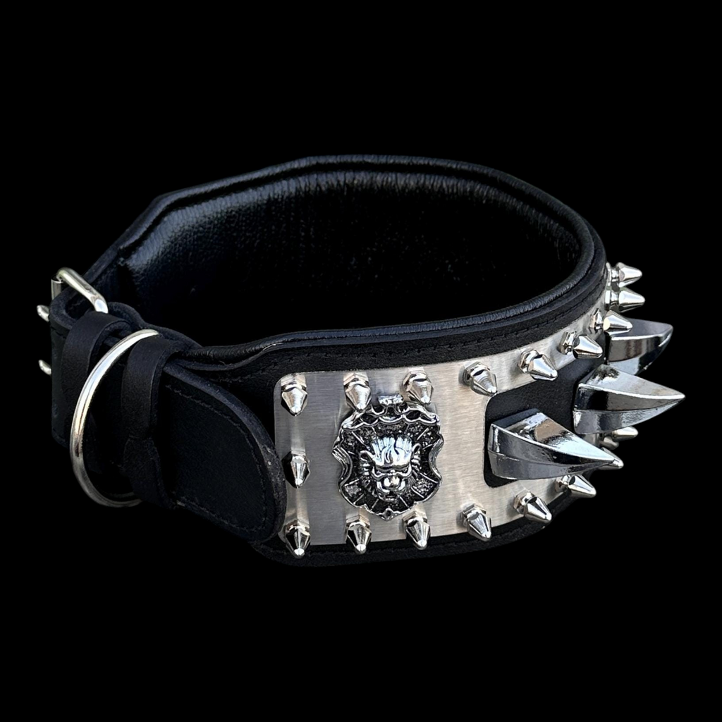 A&C Dog Collars marka, aslan figürlü paslanmaz çelik plakalı ve sivri uçlu detaylara sahip siyah deri köpek tasması.