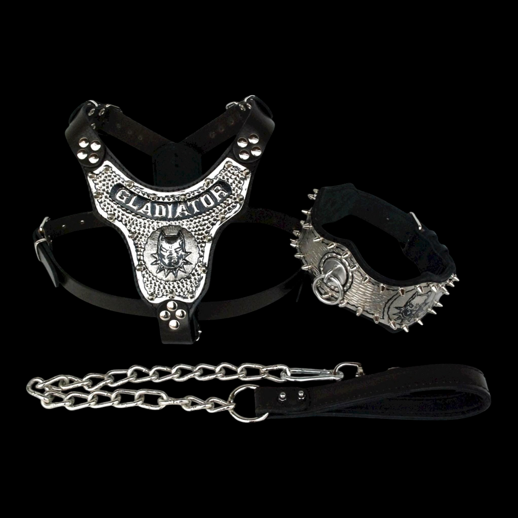 A&C Dog Collars marka, bakır kaplama detaylı, kişiselleştirilebilir deri köpek göğüs tasması, tasma ve zincir seti.