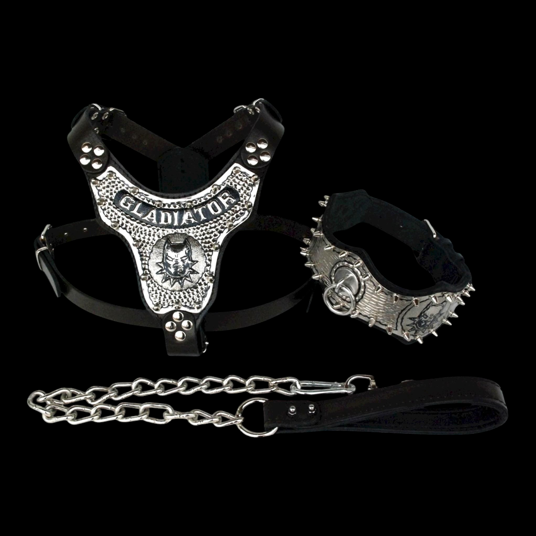 A&C Dog Collars marka, bakır kaplama detaylı, kişiselleştirilebilir deri köpek göğüs tasması, tasma ve zincir seti.