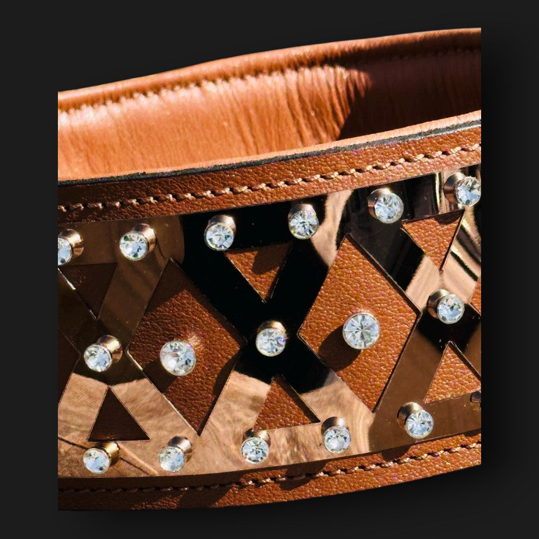 Handmade luxury leather dog collar with bronze steel accents and crystal details, crafted by A&C Dog Collars.