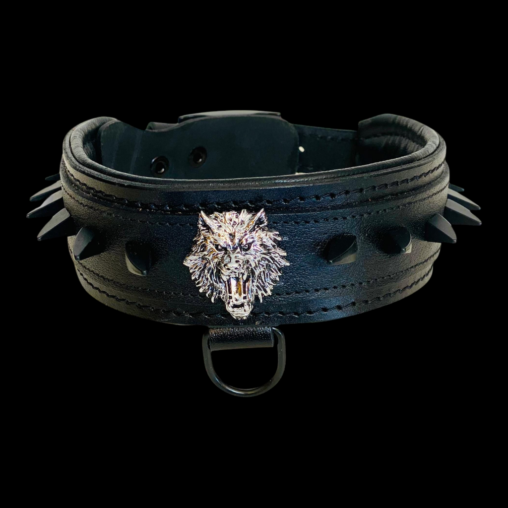 A&C Dog Collars marka, kurt figürlü ve siyah çivili, 5 cm genişliğinde el yapımı siyah deri köpek tasması.