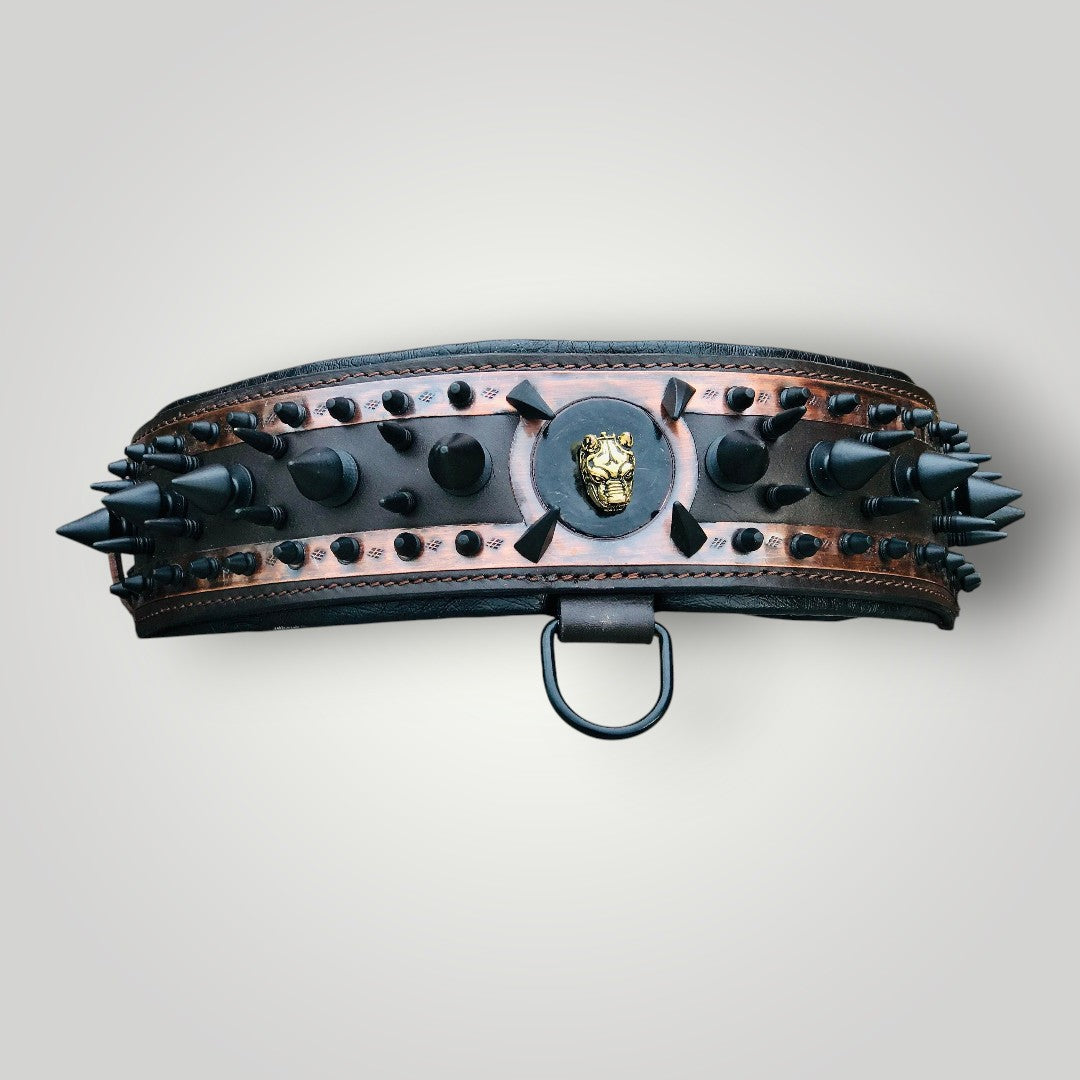 A spiked leather dog collar from A&C Dog Collars with metal spikes, adjustable black leather strap, and metal buckle.