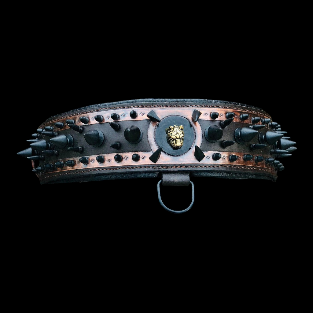 A spiked leather dog collar from A&C Dog Collars with metal spikes, adjustable black leather strap, and metal buckle.
