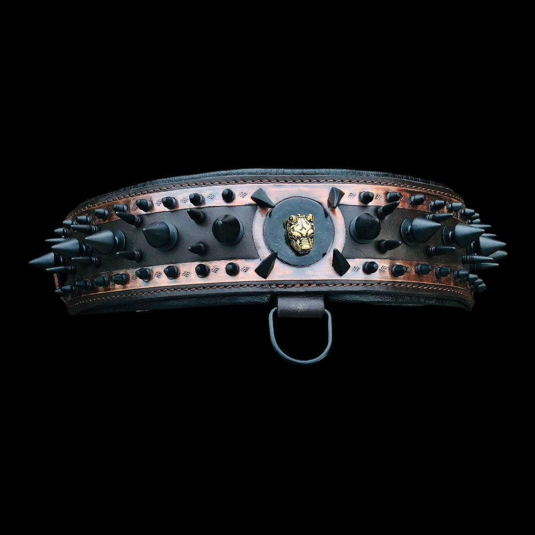 A spiked leather dog collar from A&C Dog Collars with metal spikes, adjustable black leather strap, and metal buckle.