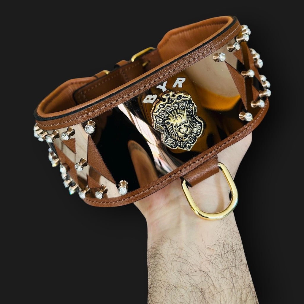 Luxury leather dog collar by A&C Dog Collars with bronze steel hardware and crystal accents, showcasing intricate craftsmanship.