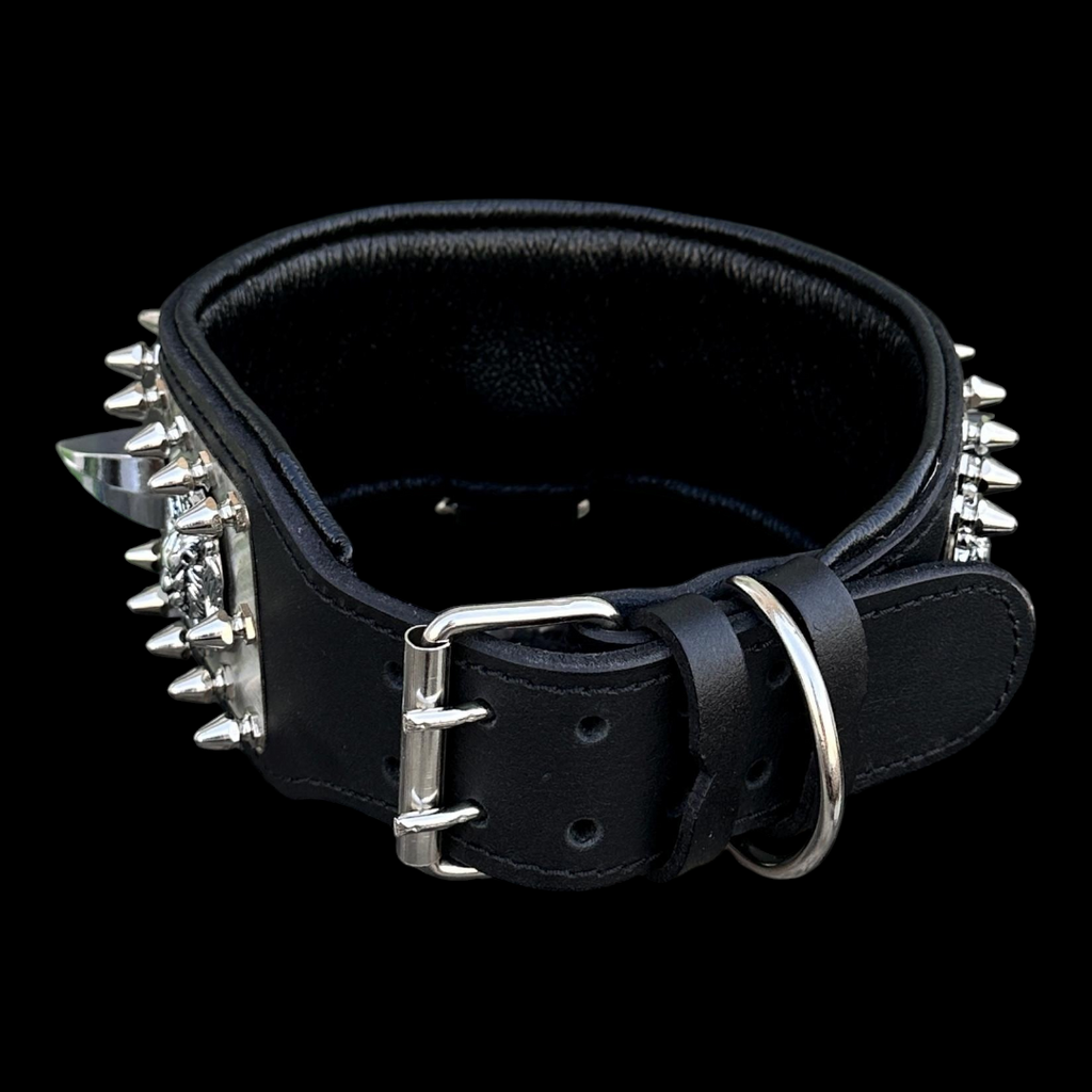 A&C Dog Collars marka, büyük ırklar için tasarlanmış, çivili ve aslan figürlü paslanmaz çelik plakalı siyah deri tasma.