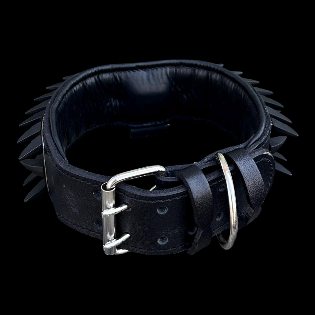 A&C Dog Collars marka, büyük ırk köpekler için siyah deri, çivili ve dolgulu el yapımı köpek tasması.