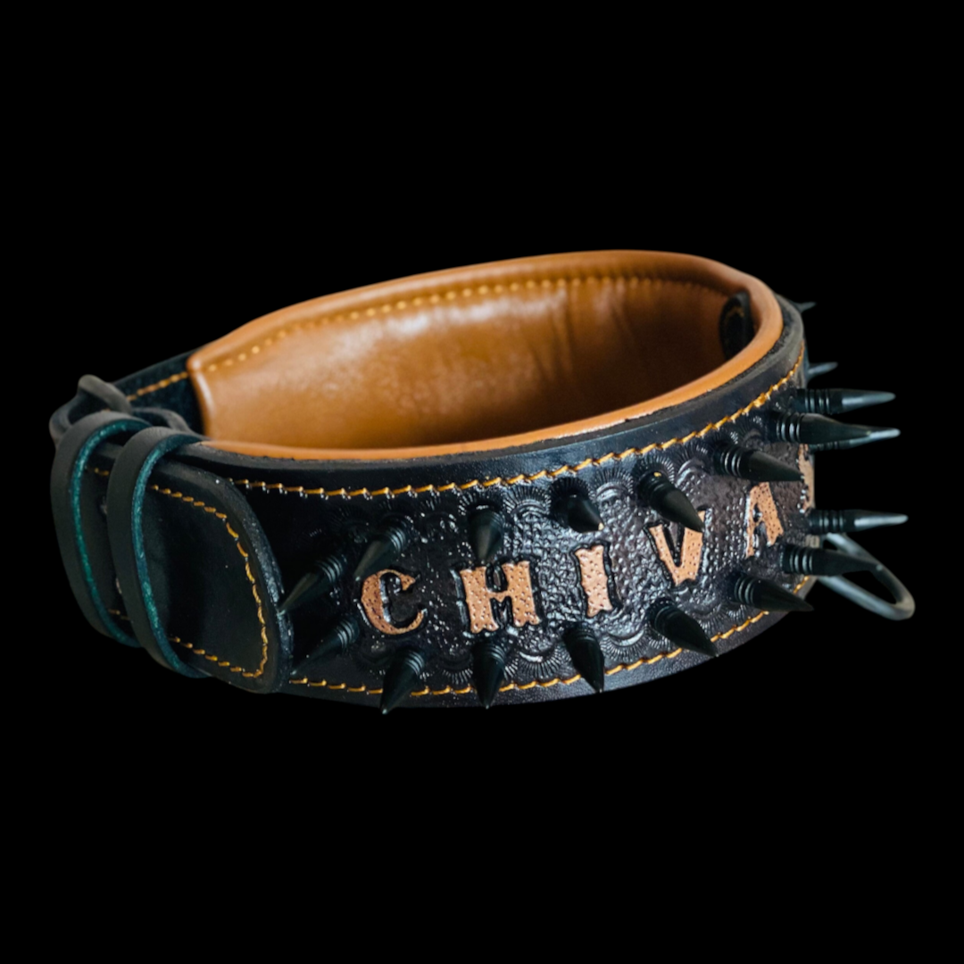 A handmade personalized leather dog collar with spikes and custom name, designed for large breeds by A&C Dog Collars