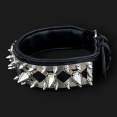 Handmade spiked leather dog collar with custom engraved name plate from A&C Dog Collars, featuring metal spikes and adjustable fit.