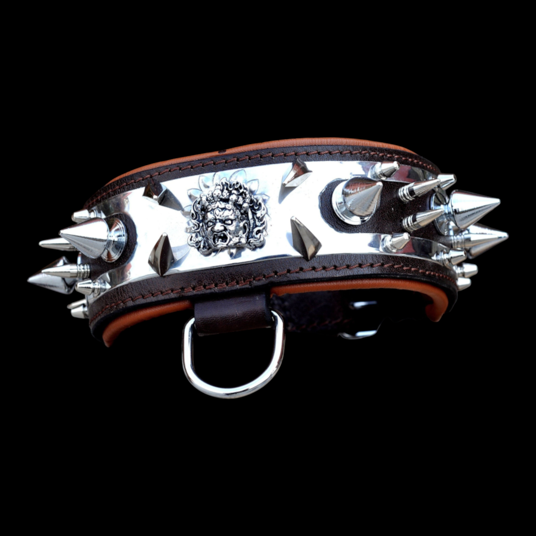 A&C Dog Collars el yapımı, Medusa amblemli, çelik plakalı ve krom çivili geniş manda derisi köpek tasması.